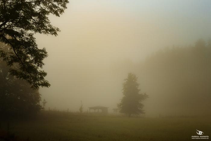 matena moments / Eberswalde