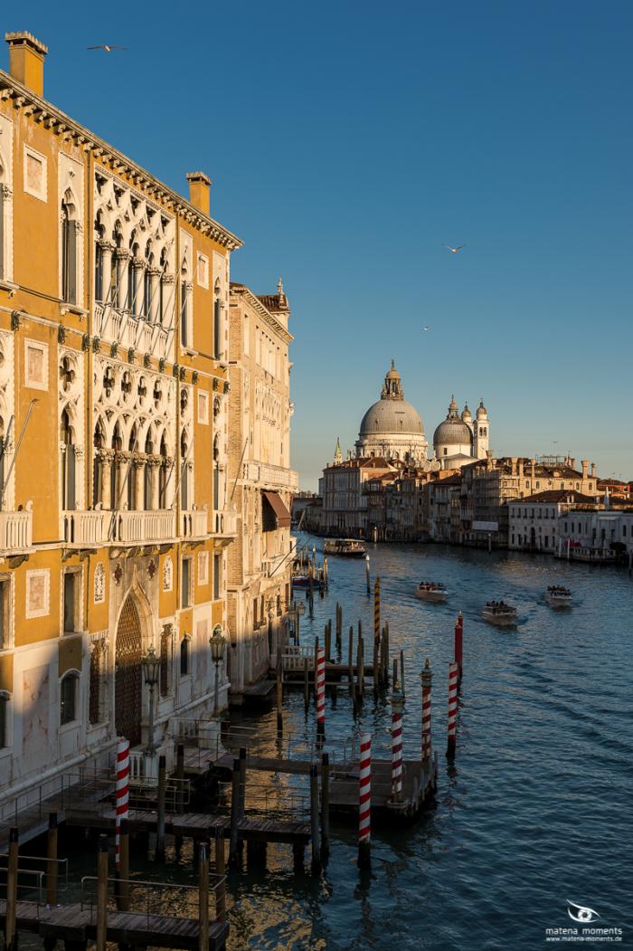 matena moments / Venedig